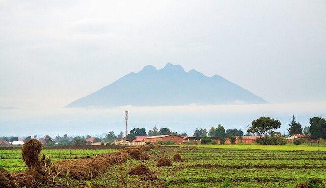 Cộng hòa Congo