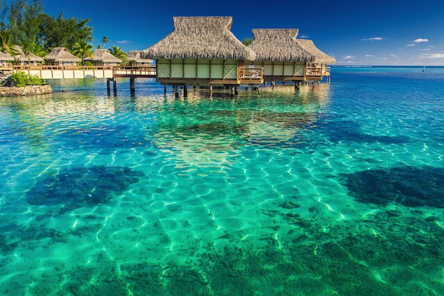 Maldives