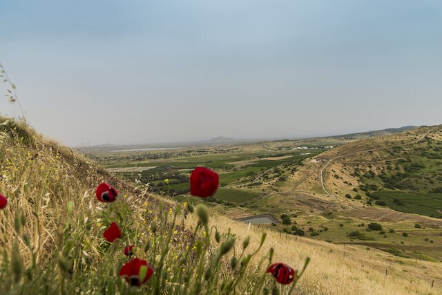 Syria